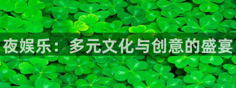 杏宇代理：夜娱乐：多元文化与创意的盛宴