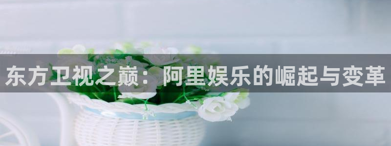 杏宇：东方卫视之巅：阿里娱乐的崛起与变革