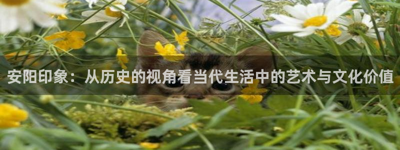 杏宇代理：安阳印象：从历史的视角看当代生活中的艺术与文化价值