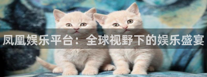 杏宇平台