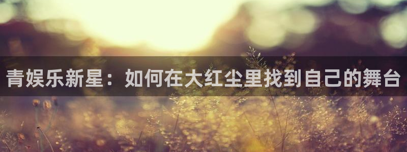 杏宇代理：青娱乐新星：如何在大红尘里找到自己的舞台