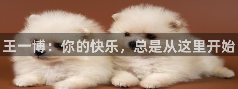 杏宇娱乐：王一博：你的快乐，总是从这里开始