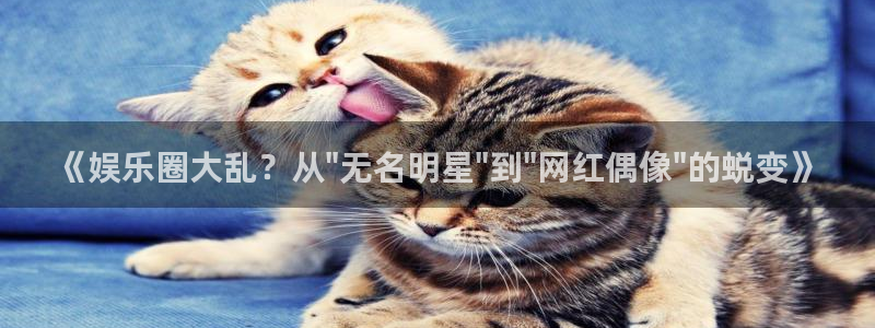 杏宇娱乐：《娱乐圈大乱？从\