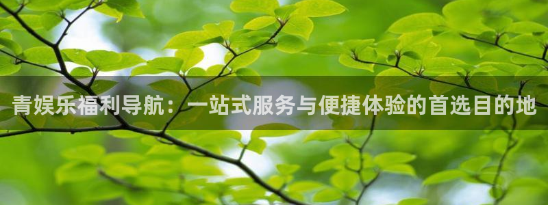 杏宇平台：青娱乐福利导航：一站式服务与便捷体验的首选目的地
